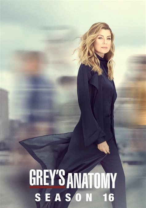 grey's anatomy season 16|watch grey's anatomy season 16.